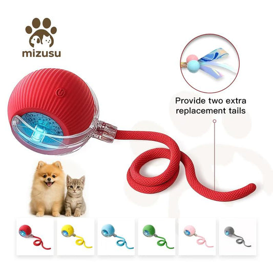 Interactive Cat Toy Ball: Automatically rolling electric ball, suitable for indoor cats/dogs, brings the fun of chasing tails. Motion sensing, keeps pets busy and enjoys rich sports stimulation. Great pet gifts/supplies. Pawvara