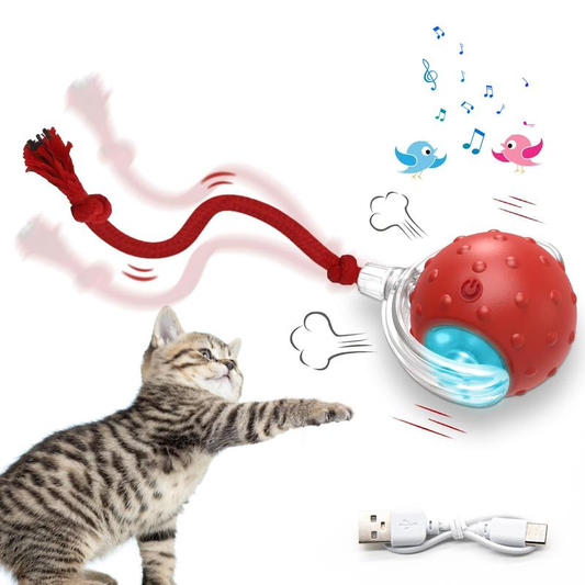 SPOVEN Cat&Dog Toy - Interactive USB Rechargeable Ball Toy on Rug , Anti-Depression Fun Gift for Cats & Dogs Pawvara