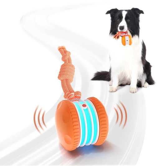 QGI Interactive Dog Ball, Random Path Electric Automatic Moving and Rolling Dog Toy with Rope for Small Medium Large Dogs, Motion-Activated Dog Stimulation Toy for Boredom Relief Pawvara