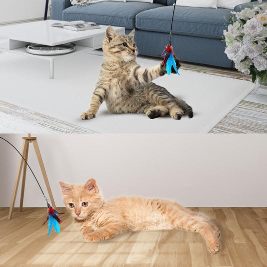Cat Toy Wand Auto Interactive Toys for Indoor Cat 10 in 1 Hands-Free Natural Bird Feather Ball Toys, Suction Cup Pet Dancing Playing Toy Pawvara